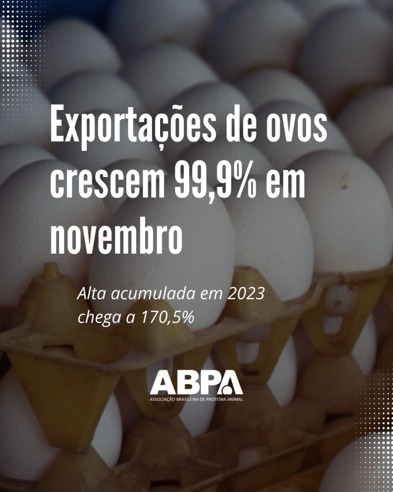 Exportações de ovos crescem 99,9% em novembro