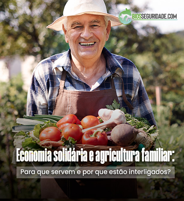 Economia solidária e agricultura familiar: Para que servem e por que estão interligados?