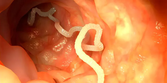 Aumentam os casos de cisticercose no Brasil: Entenda como evitar prejuízos