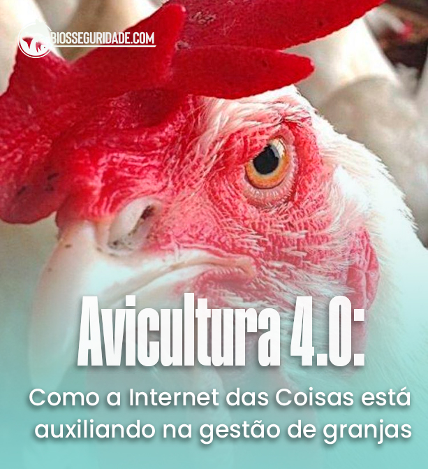 Avicultura 4.0: A Revolução da Internet das Coisas na Gestão de Granjas