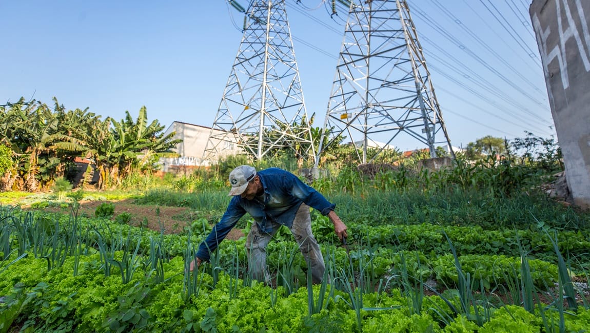 Parceria inédita fortalecerá agricultura urbana e periurbana com investimento de R$ 1,5 milhão