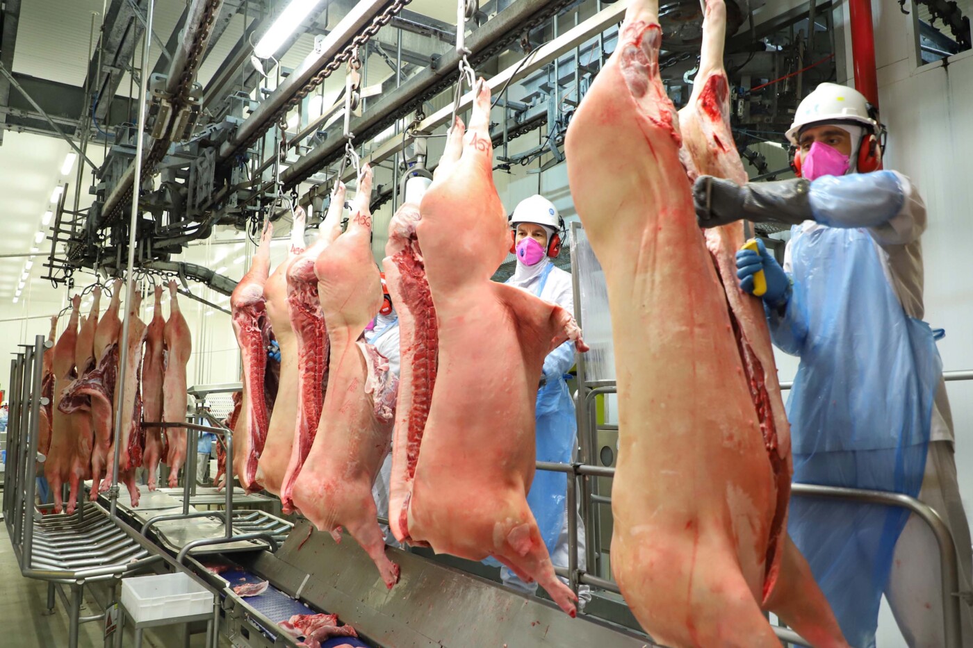 Preços da carne suína e do suíno vivo iniciam julho em alta