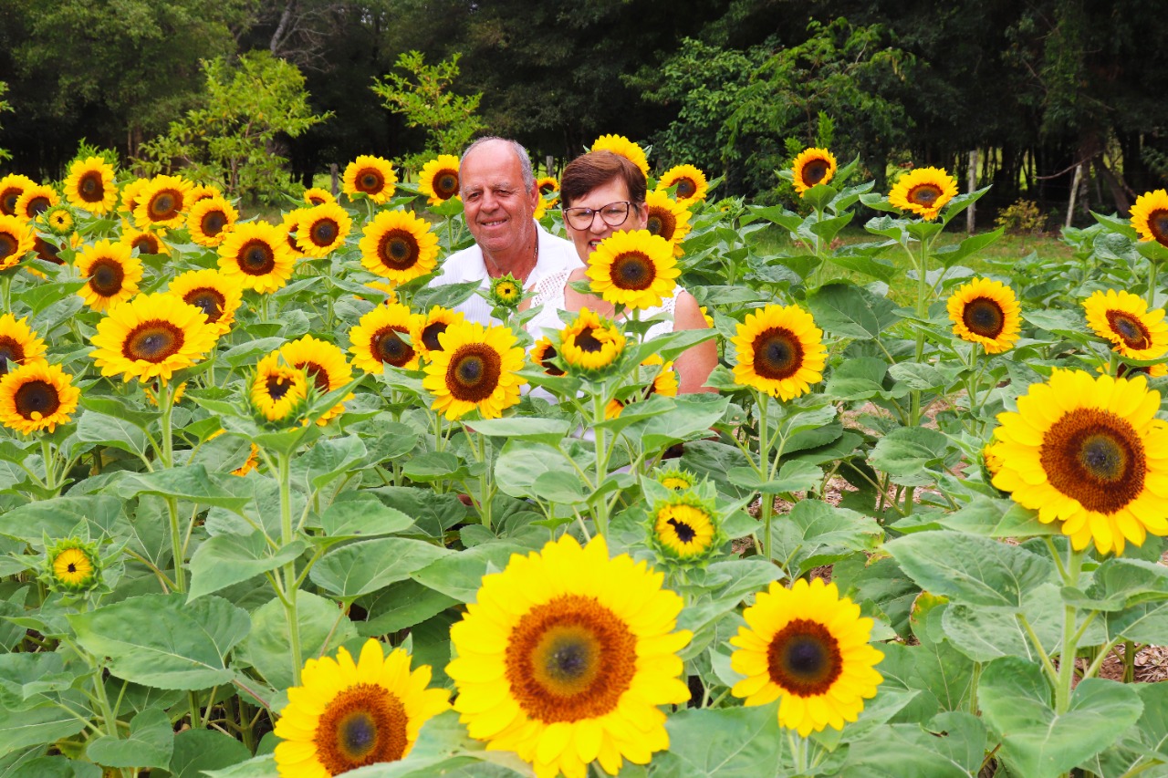 Floricultura surge como alternativa de diversificação para a agricultura familiar na Expointer