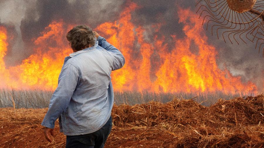 Governo de São Paulo estima R$ 1 bilhão em perdas na agropecuária por incêndios