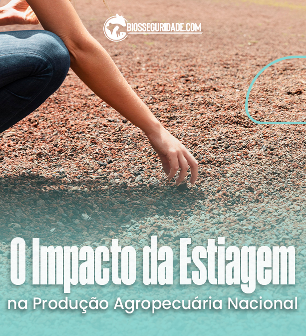 O Impacto da Estiagem na Produção Agropecuária Nacional