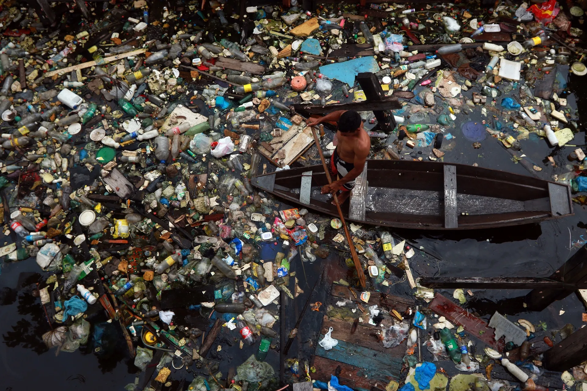 Estudo revela que 98% dos peixes da Bacia Amazônica estão contaminados por microplásticos