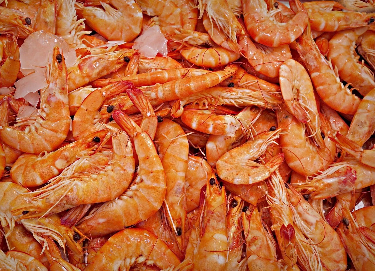 Biosseguridade em foco: O impacto da qualidade sanitária nas importações de pescados